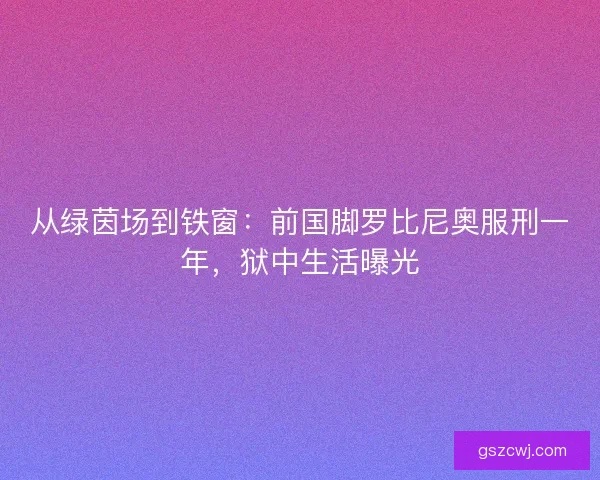 从绿茵场到铁窗：前国脚罗比尼奥服刑一年，狱中生活曝光