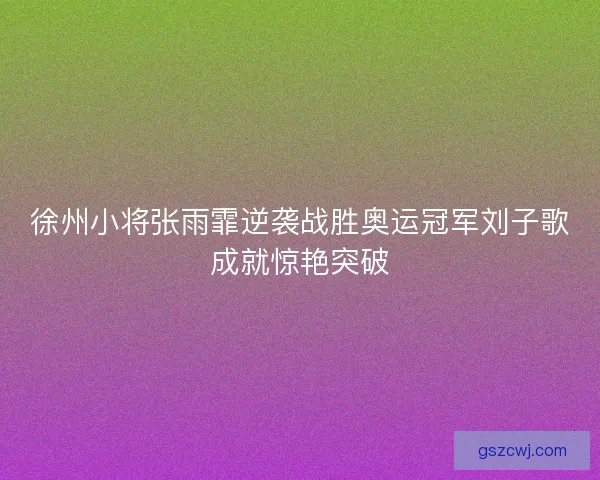 徐州小将张雨霏逆袭战胜奥运冠军刘子歌成就惊艳突破