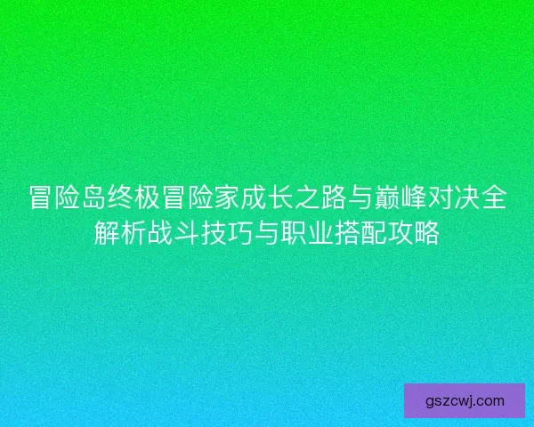 冒险岛终极冒险家成长之路与巅峰对决全解析战斗技巧与职业搭配攻略