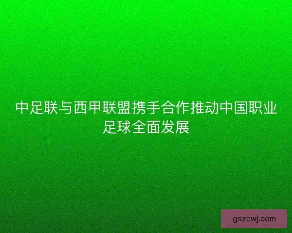 中足联与西甲联盟携手合作推动中国职业足球全面发展 中足联与西甲联盟携手合作推动中国职业足球全面发展